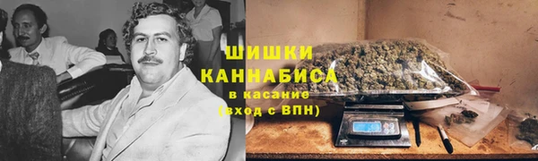 стафф Заводоуковск
