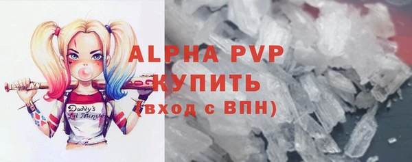 стафф Заводоуковск
