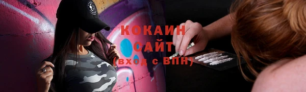 стафф Заводоуковск