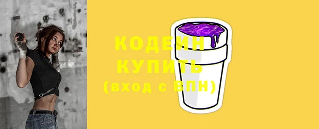 стафф Заводоуковск