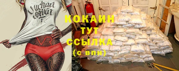 стафф Заводоуковск