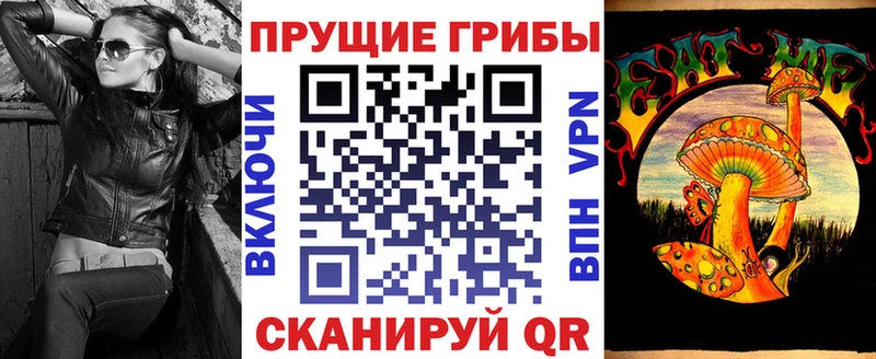 Галлюциногенные грибы Psilocybe  Купить закладки  Городец 